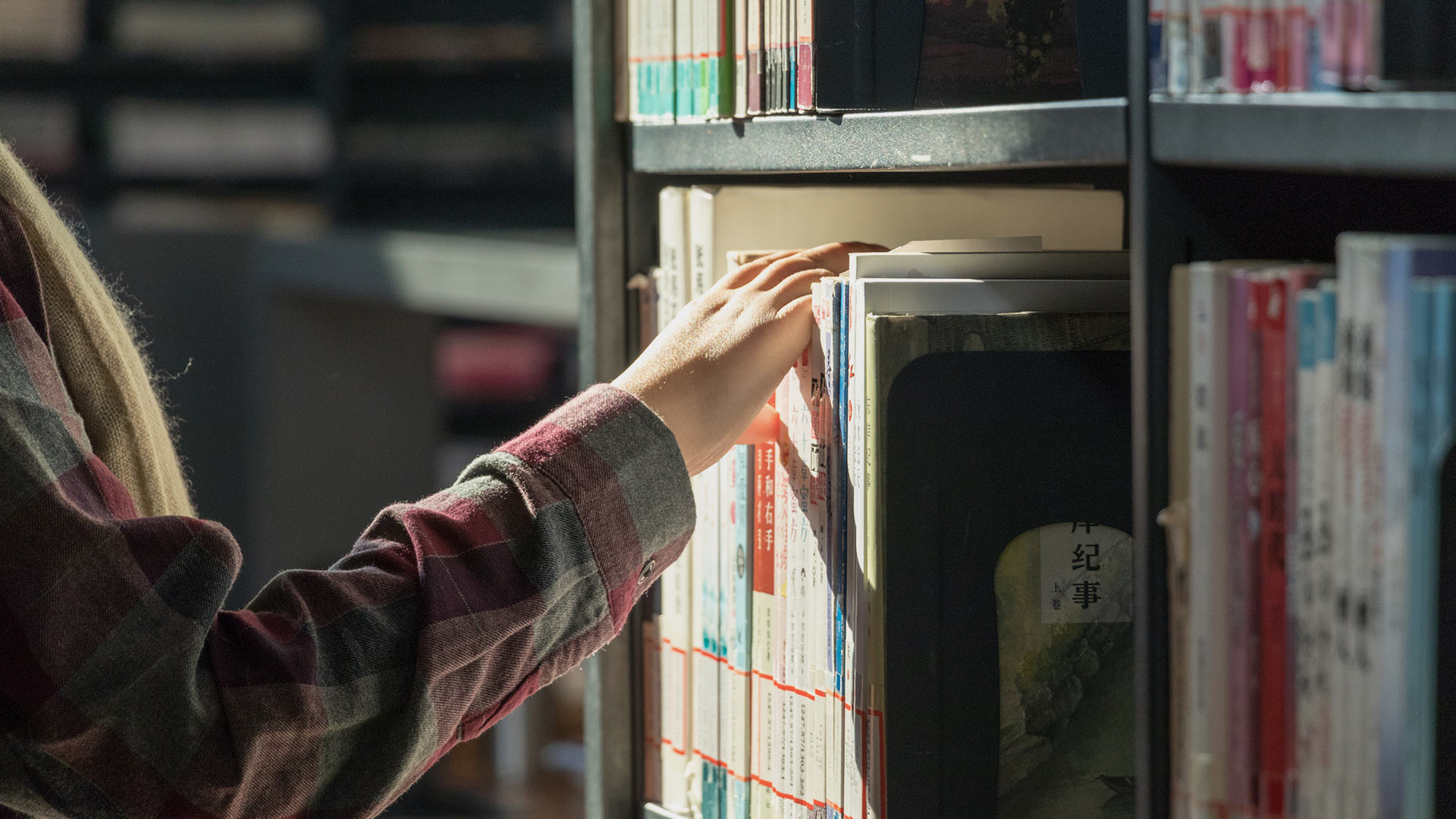 畜牧自動(dòng)養(yǎng)殖設(shè)備及施工