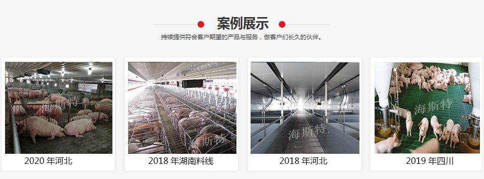 山東海斯特創(chuàng)智實(shí)業(yè)有限公司